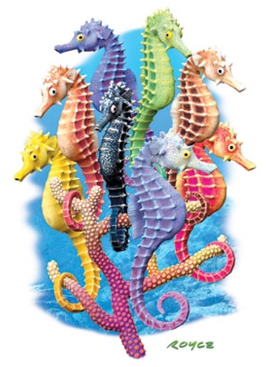 Seahorses - 14807