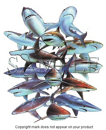Shark attack - 3867