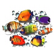 Tropical fish