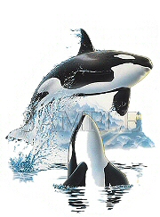Up and over sharks