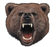 Bear roar