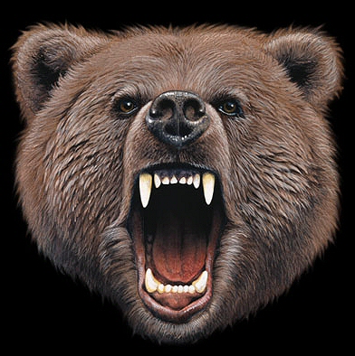 Bear roar