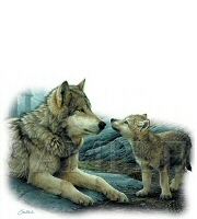 Brother wolf