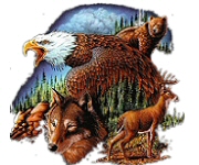 Eagle, wolf, deer group