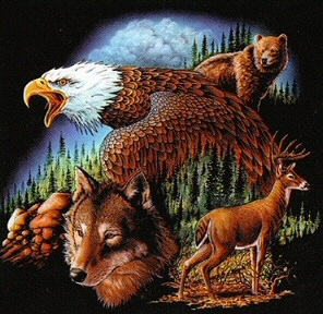 Eagle, wolf and deer group - 4611