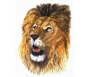 King of the jungle