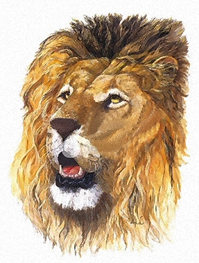 King of the jungle - 100