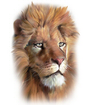 Lion head - 8374