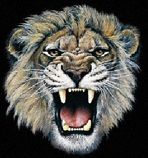 Pin Pijat Alat Vital Pria Genuardis Portal on Pinterest