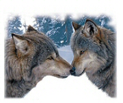 Muzzle nuzzle