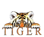 Tiger face