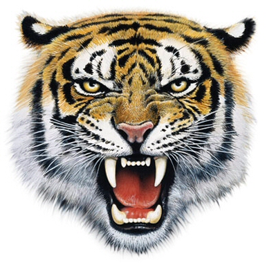 Tiger roar - 9198
