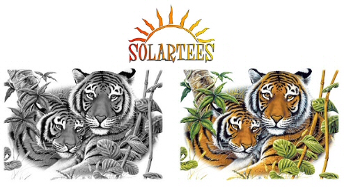 Two tigers - 06533 Solar