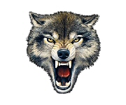 Wolf bite
