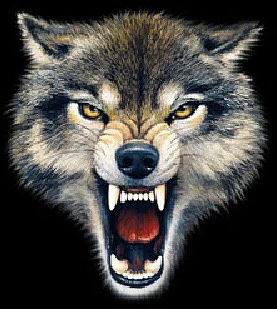 Wolf bite - 9199