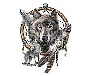 Wolf dreamcatcher