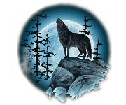 Wolf moon