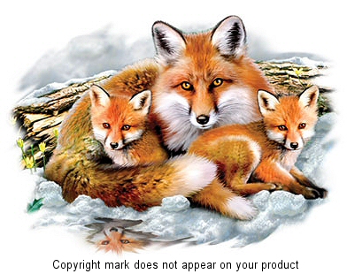 Fox family - 14730