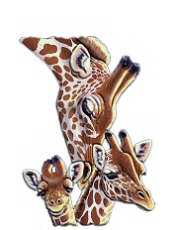 Giraffe family
