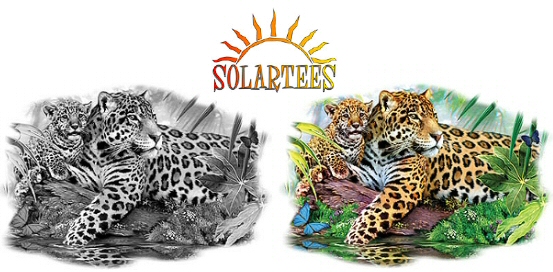 Two leopards - 13441 Solar