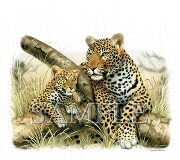 Leopard and cub