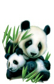 Panda and cub