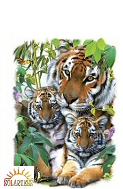 Shady tiger