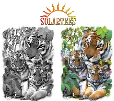 Shady tiger - 16977 Solar