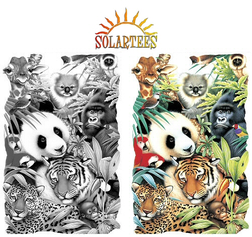 Wild animal collage - 10958 Solar